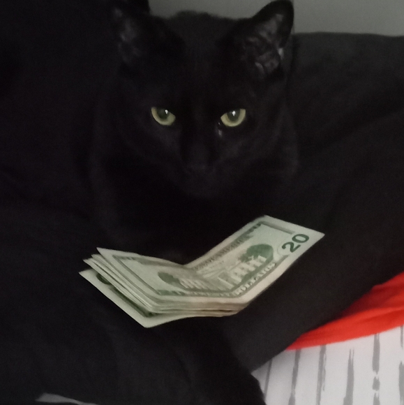 Meet your Posher, Tat2brian - Picture 3 of 3